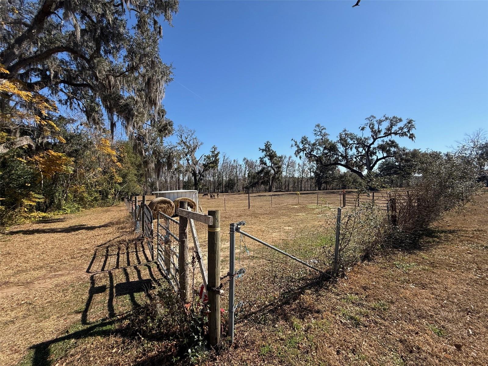 Image 6 of 9 For 37214 Hester Road