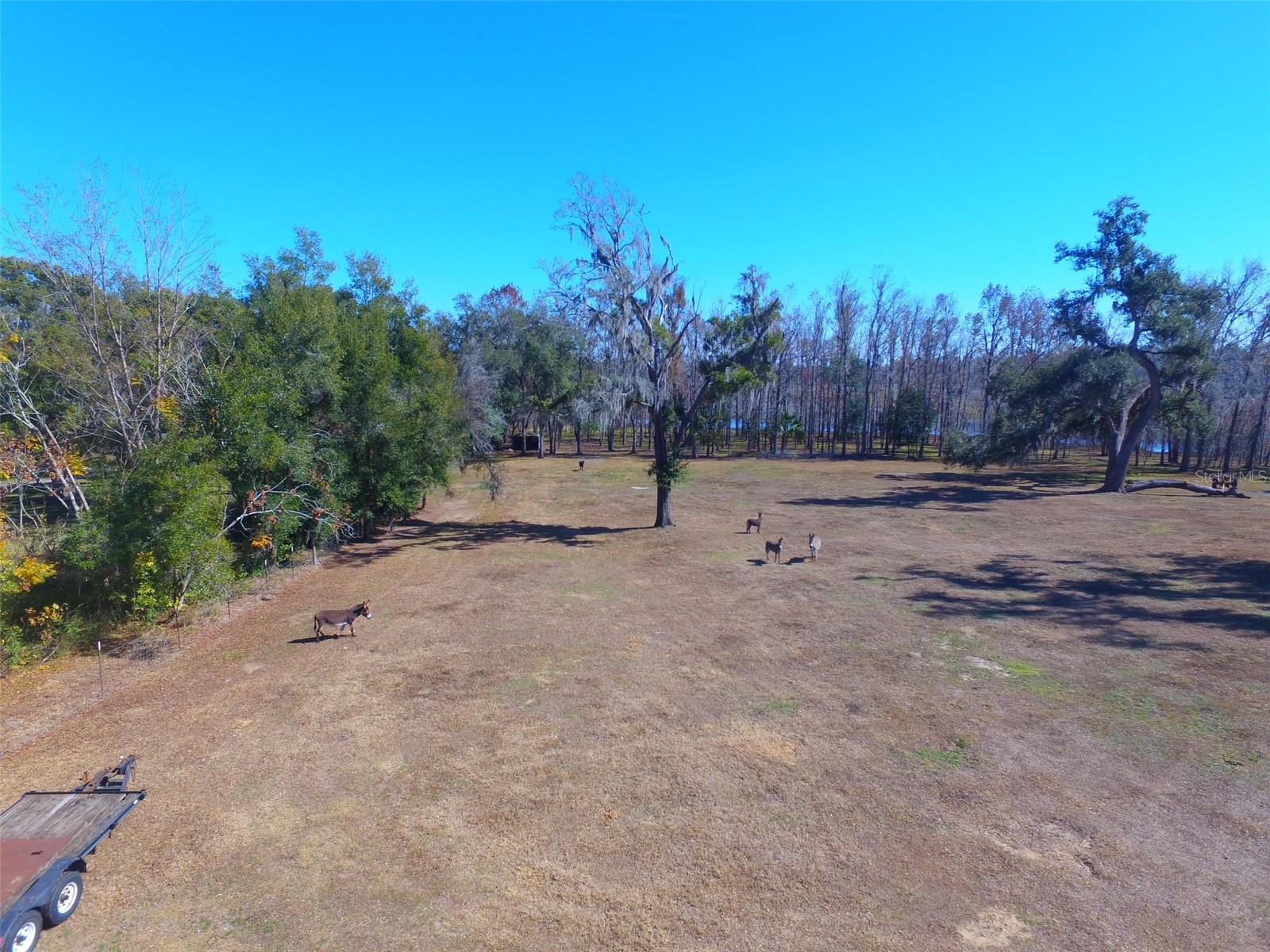 Image 8 of 9 For 37214 Hester Road