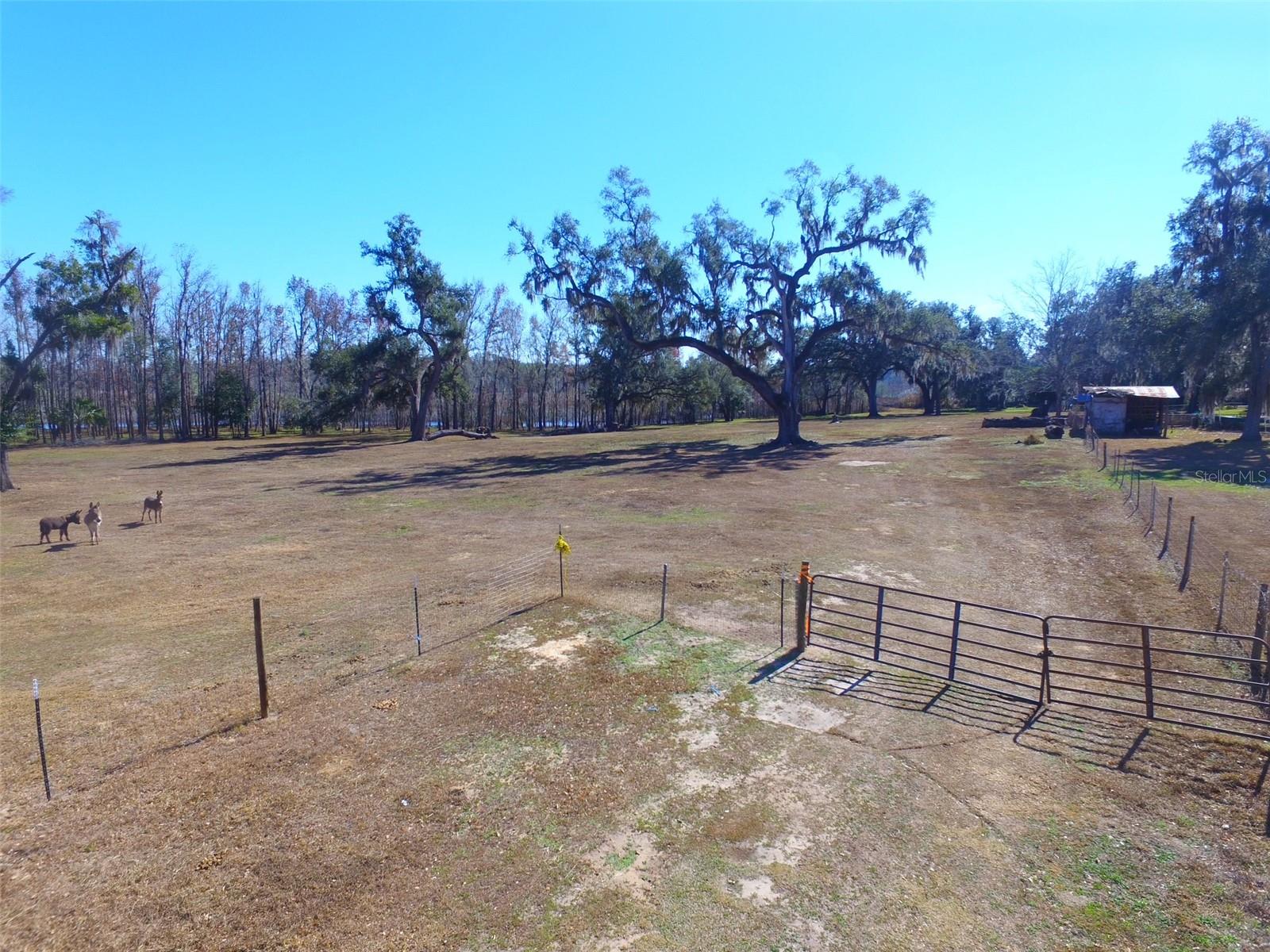 Image 9 of 9 For 37214 Hester Road