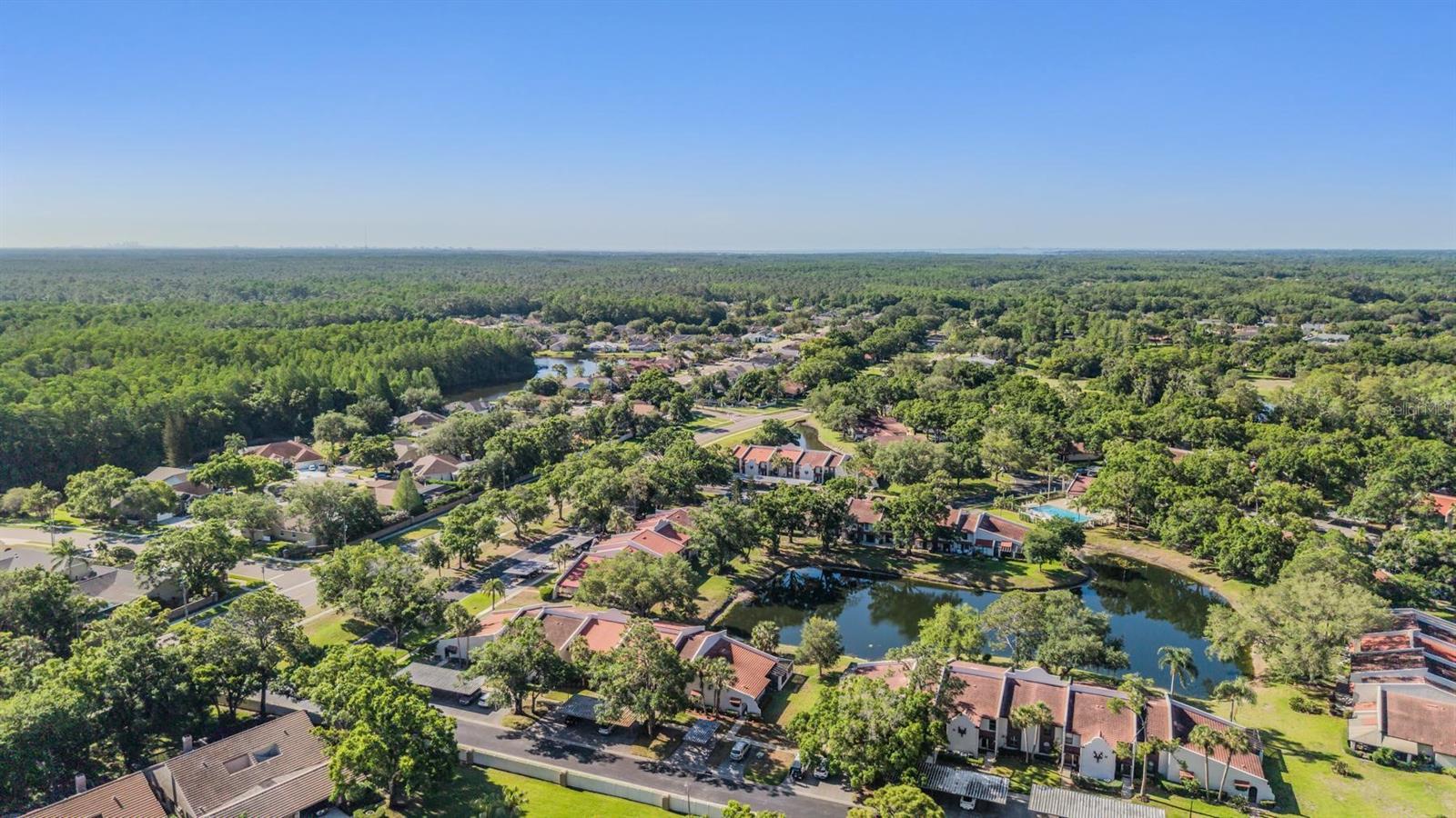 Image 31 of 34 For 3505 Tarpon Woods Boulevard N401