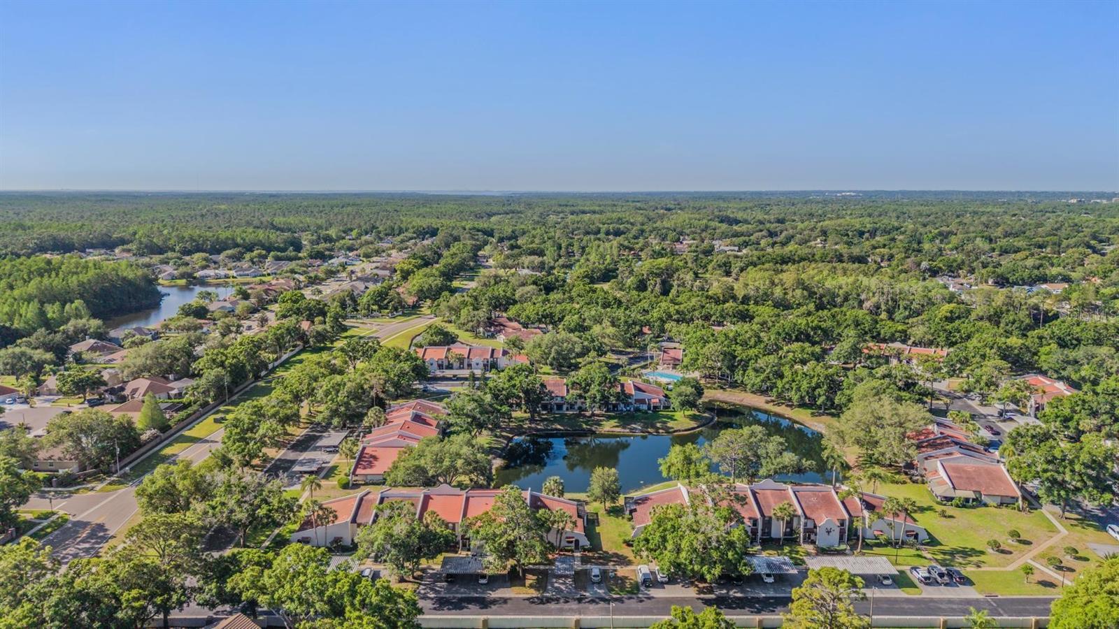 Image 32 of 34 For 3505 Tarpon Woods Boulevard N401