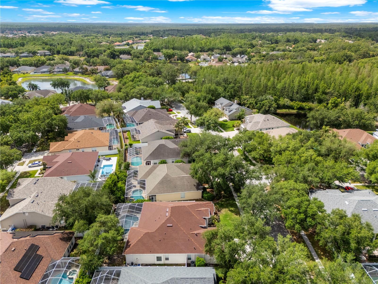Image 68 of 78 For 10254 Shadow Branch Drive