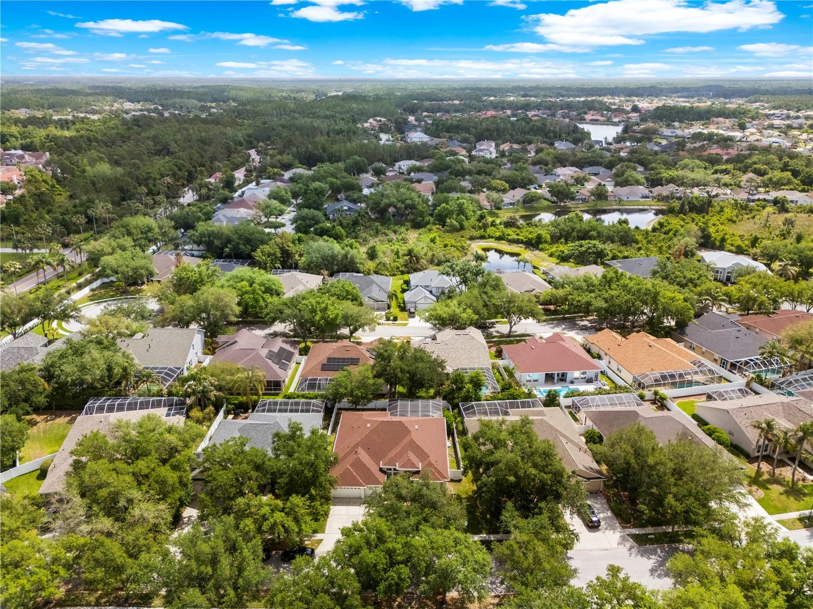 Image 69 of 78 For 10254 Shadow Branch Drive