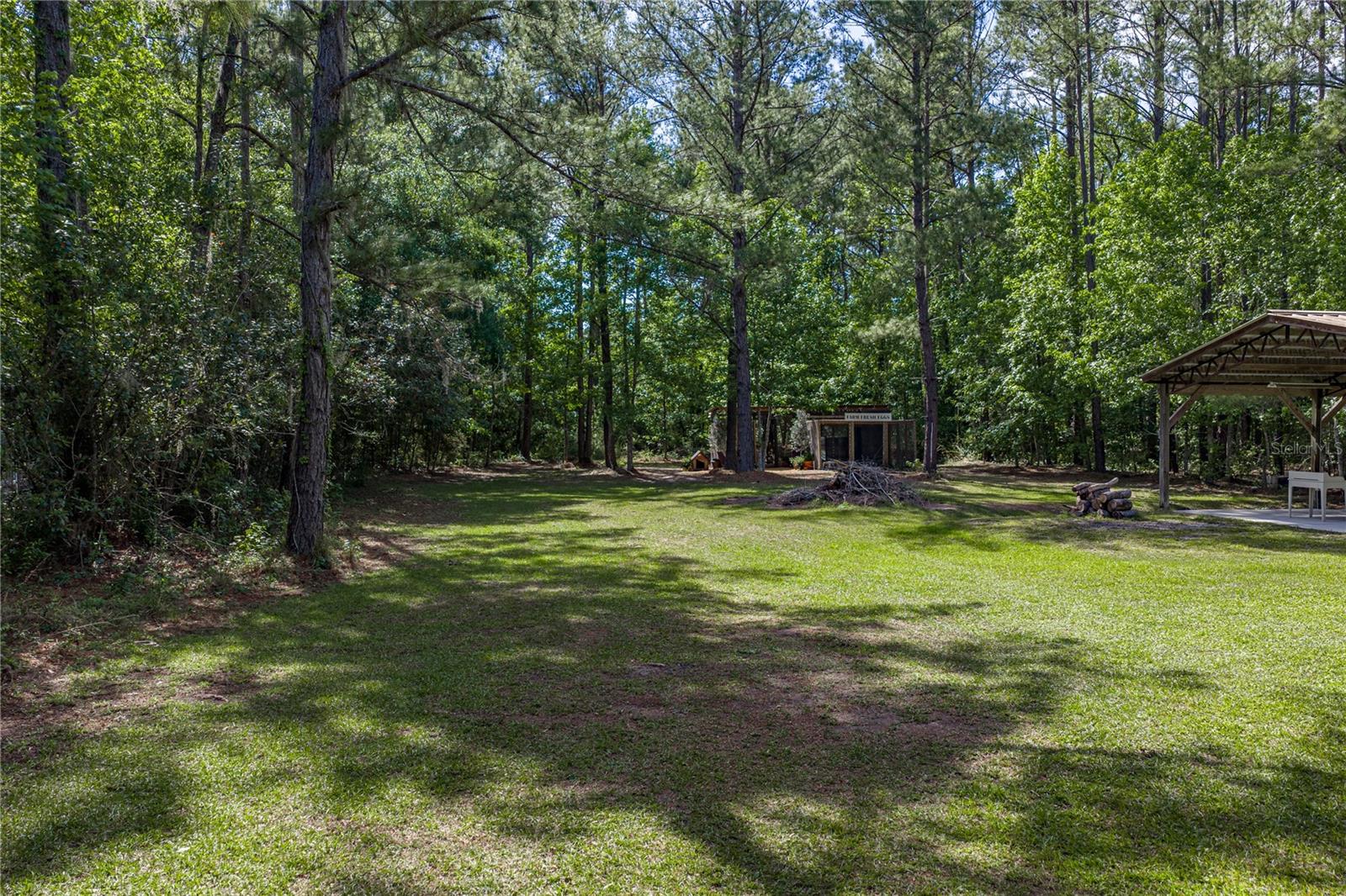 Listing photo id 56 for 9091 Mcintyre Road