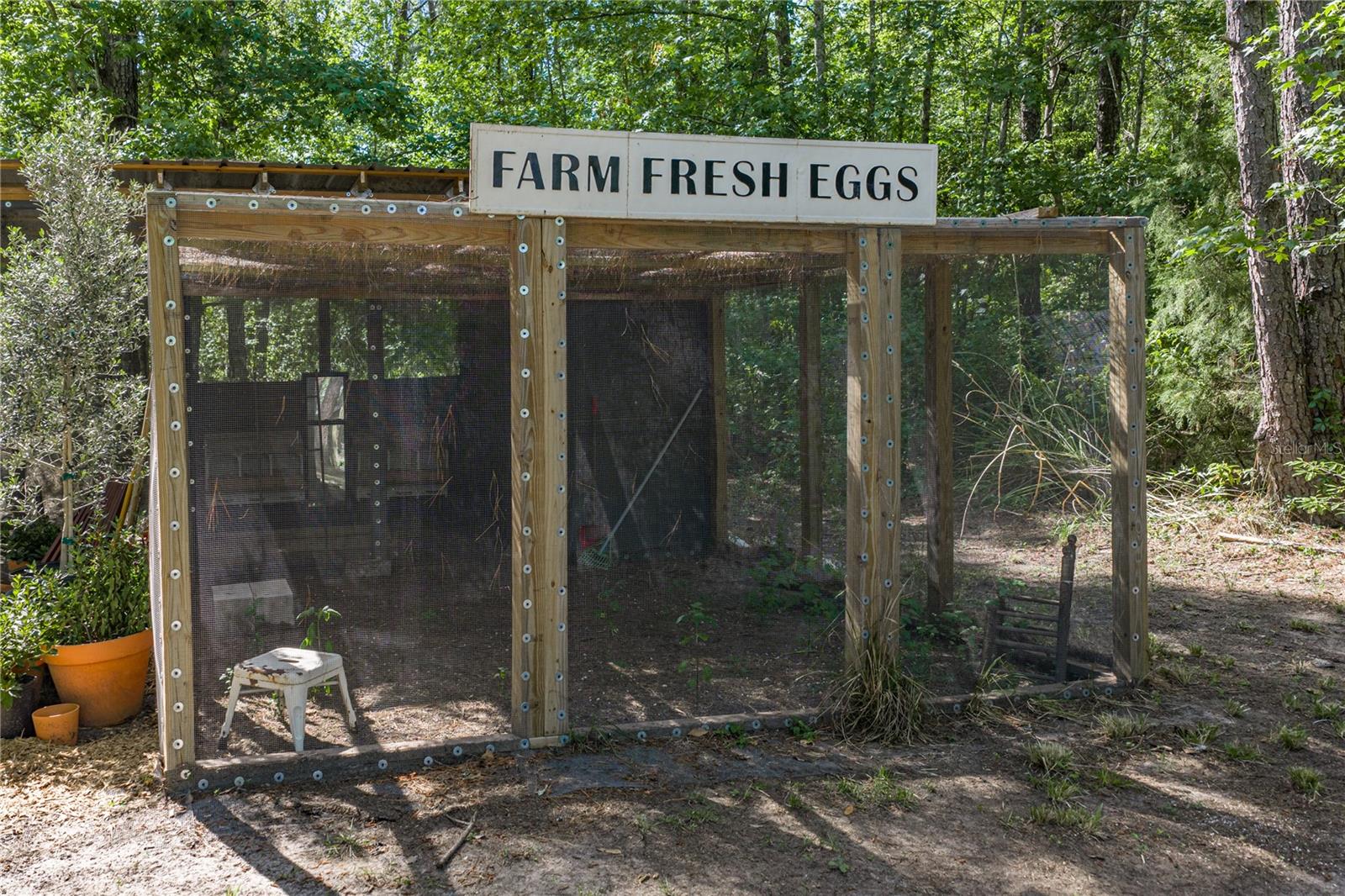 Listing photo id 69 for 9091 Mcintyre Road