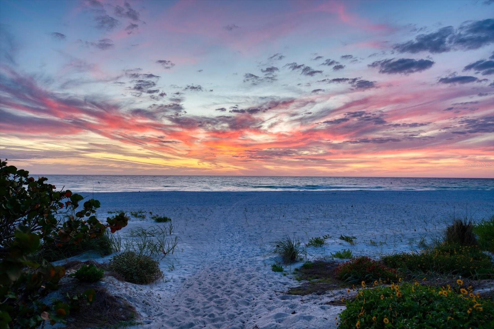 Image 9 of 62 For 102 Gulf Boulevard 401