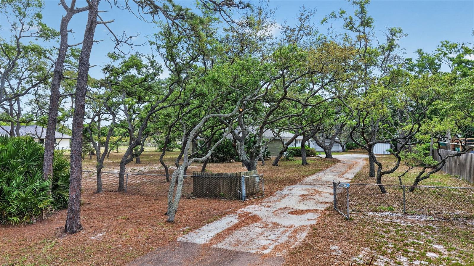 Image 3 of 43 For 13222 98th Avenue