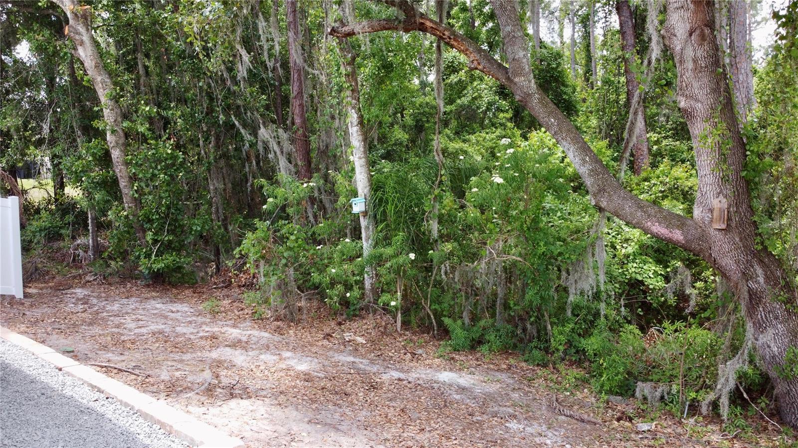 Image 49 of 54 For 6323 Open Pasture Court