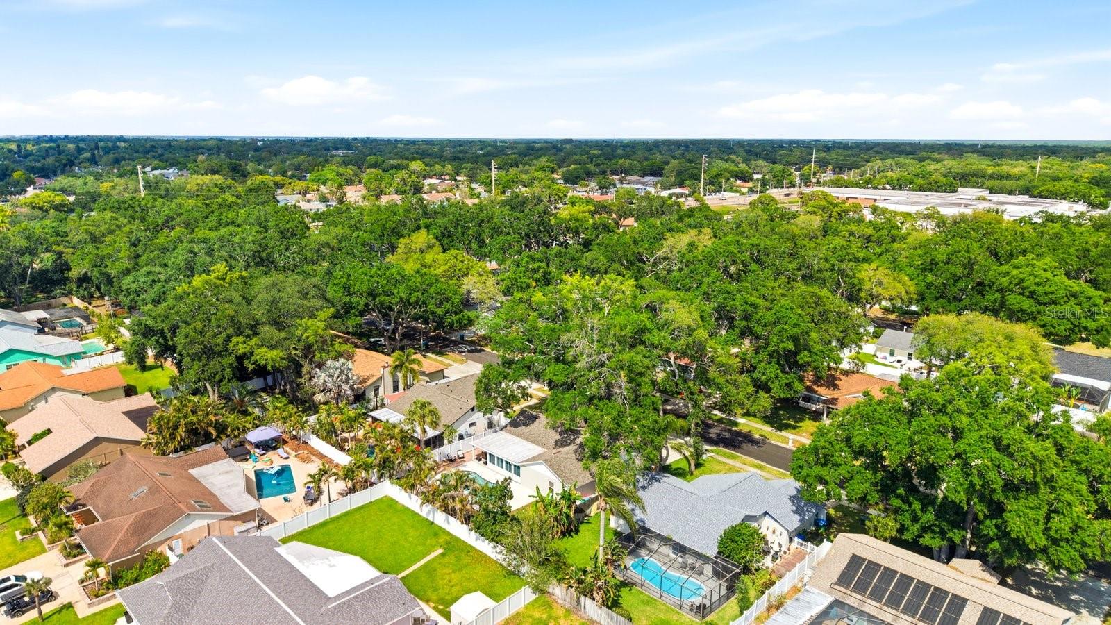 Image 46 of 51 For 221 Arbor Drive W