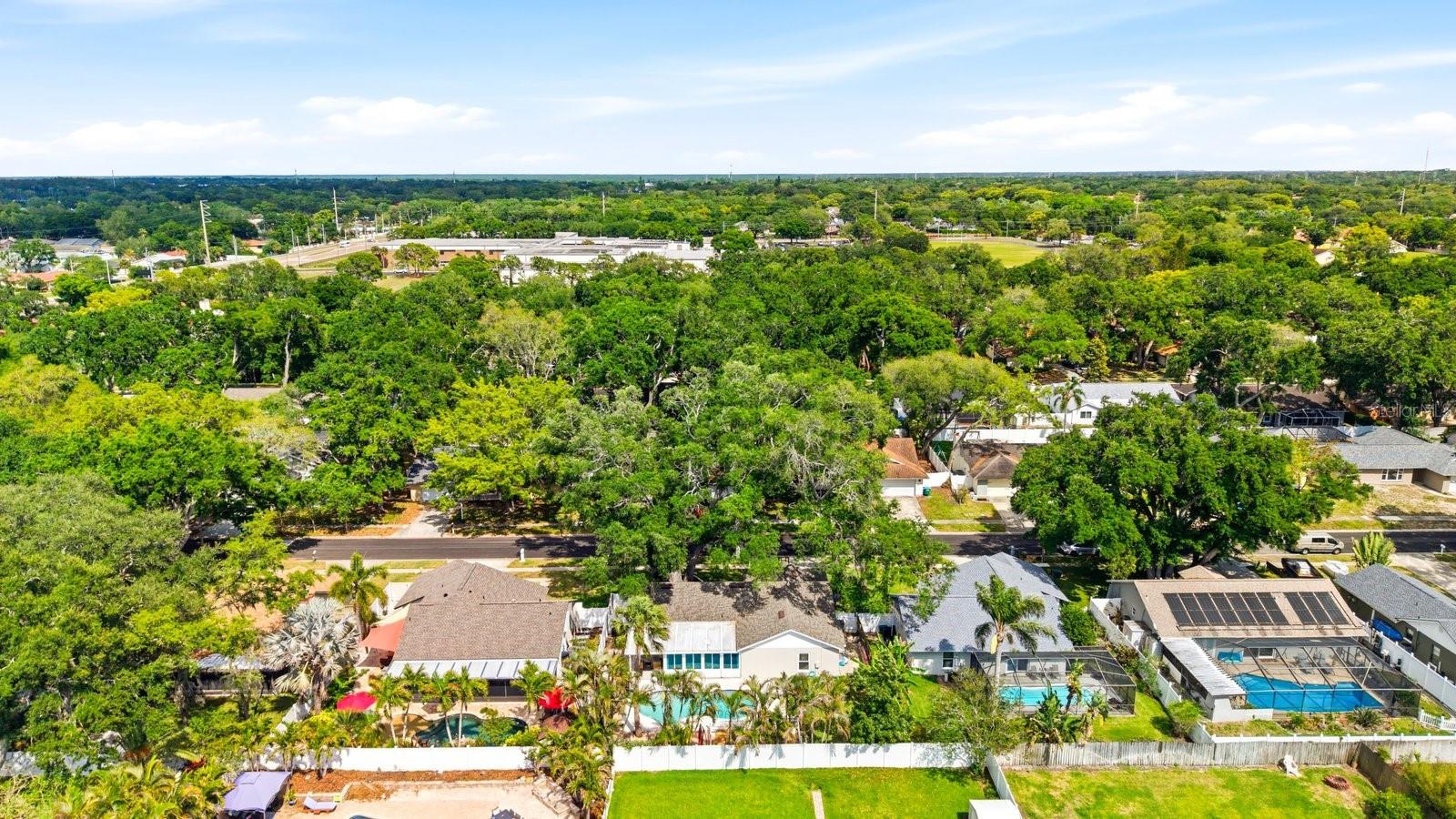 Image 47 of 51 For 221 Arbor Drive W