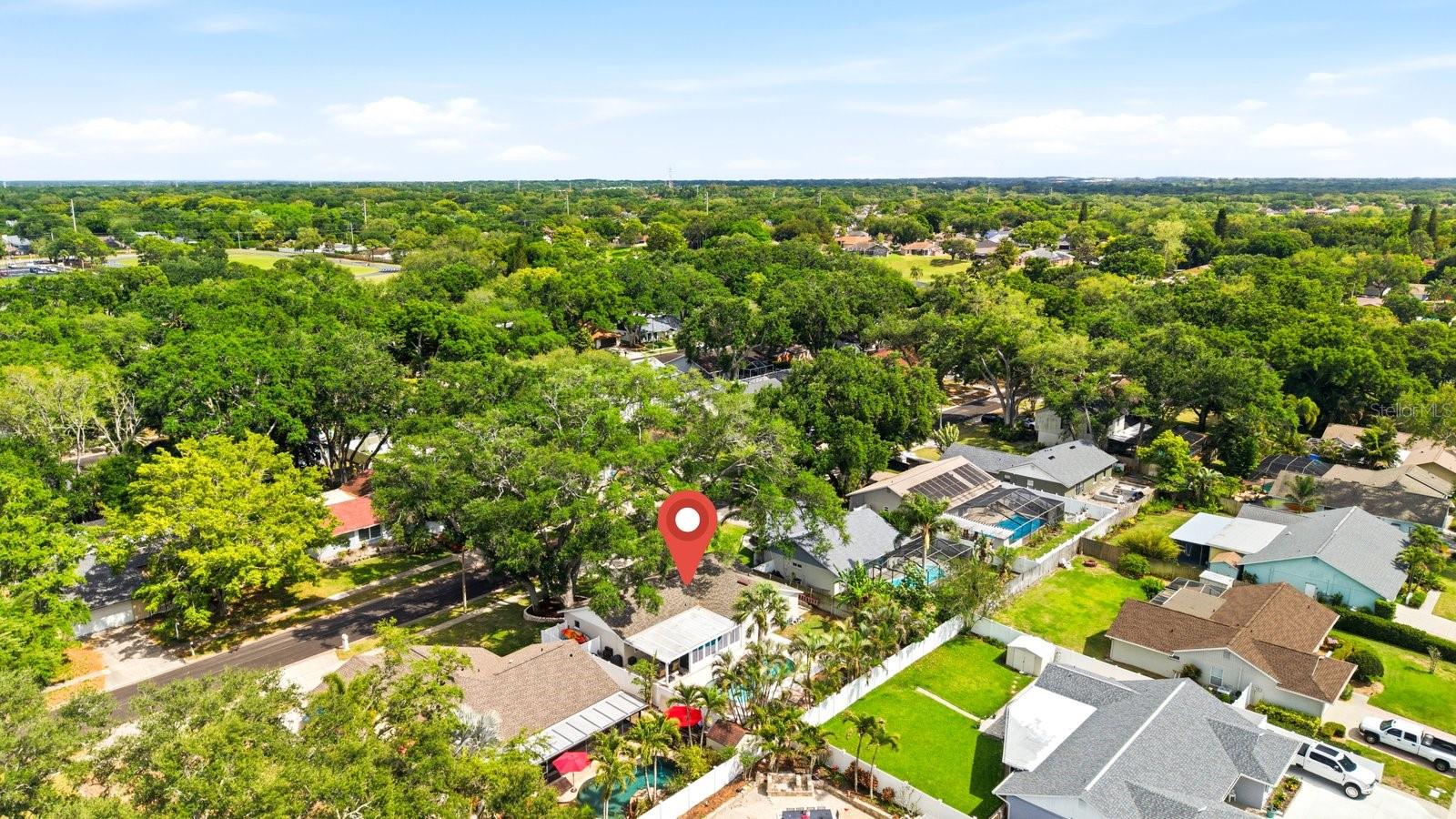 Image 48 of 51 For 221 Arbor Drive W