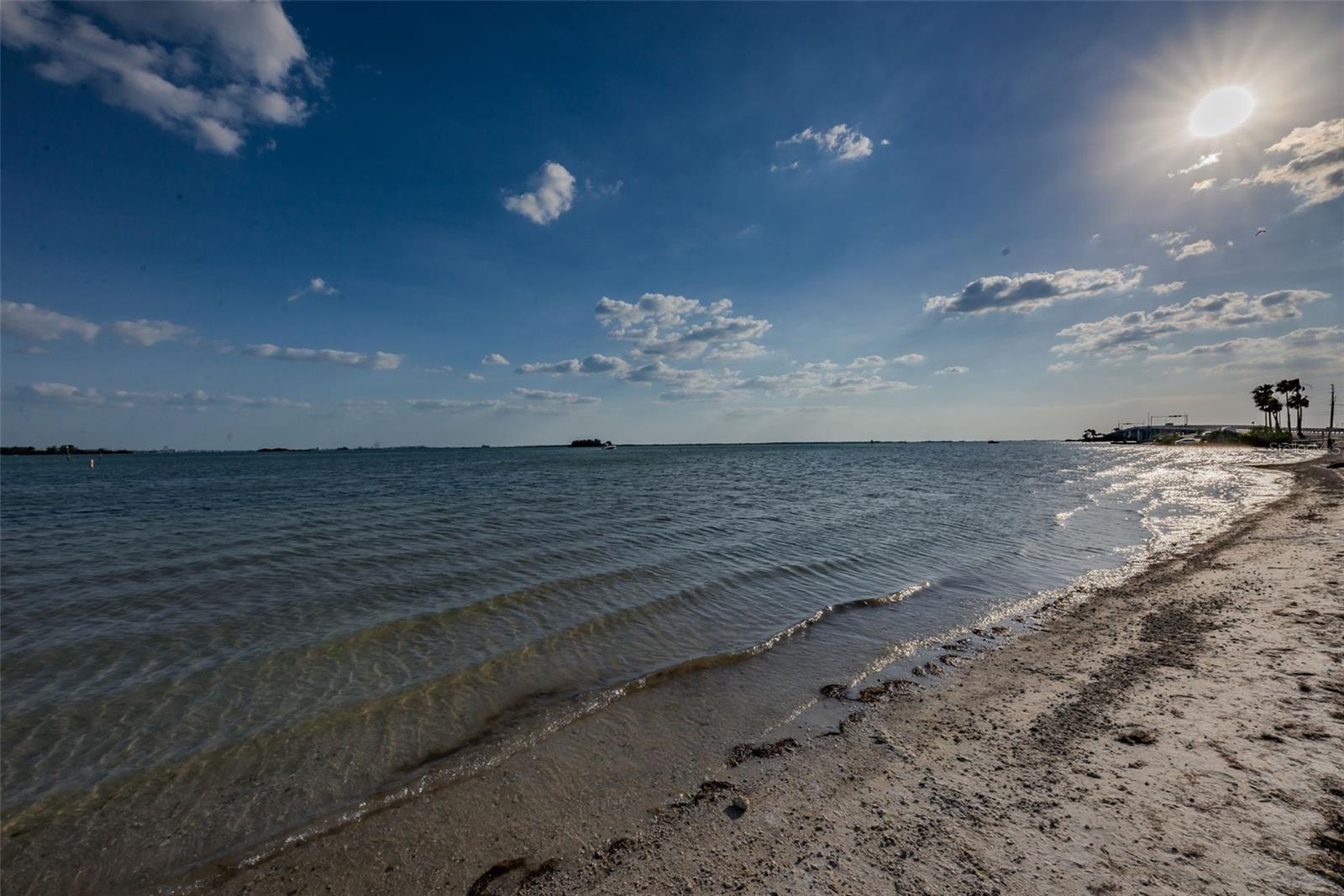 Image 84 of 100 For 2530 Gary Circle 802