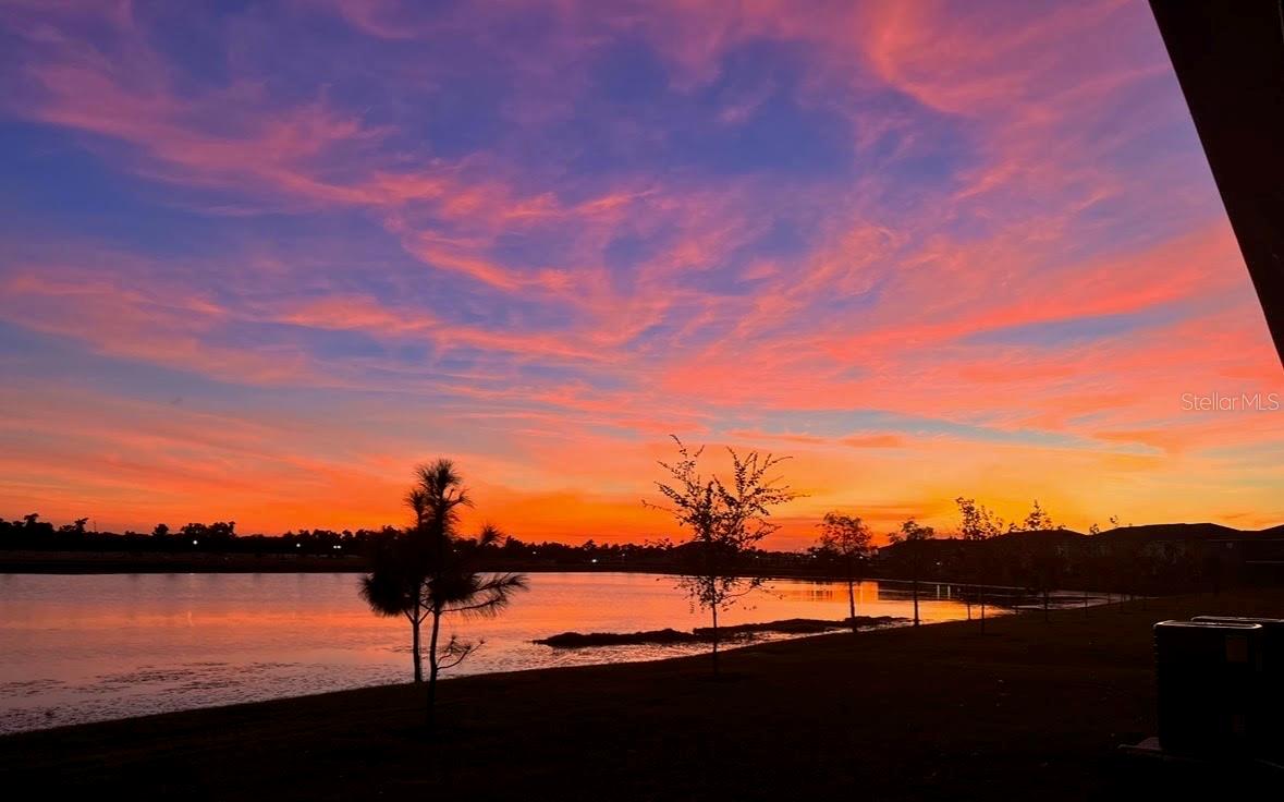 Image 4 of 35 For 263 Mangrove Shade Circle