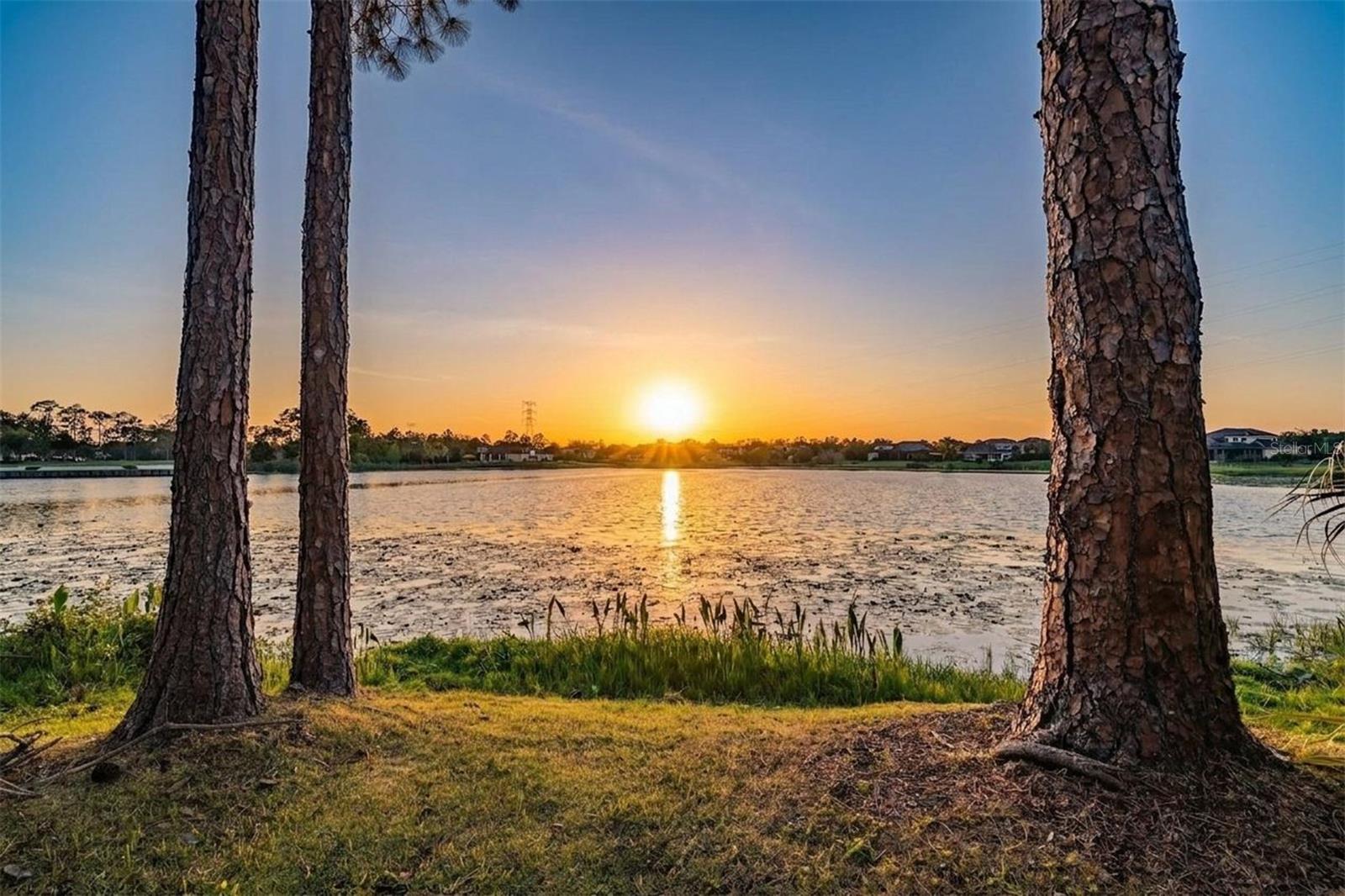 Image 10 of 70 For 9134 Tillinghast Drive