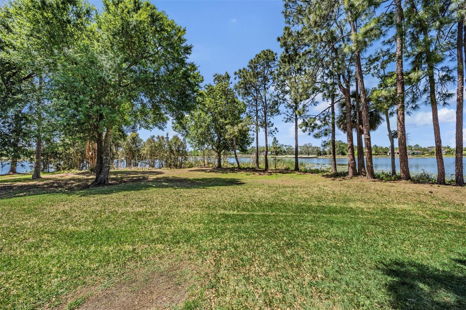 Image 57 of 70 For 9134 Tillinghast Drive