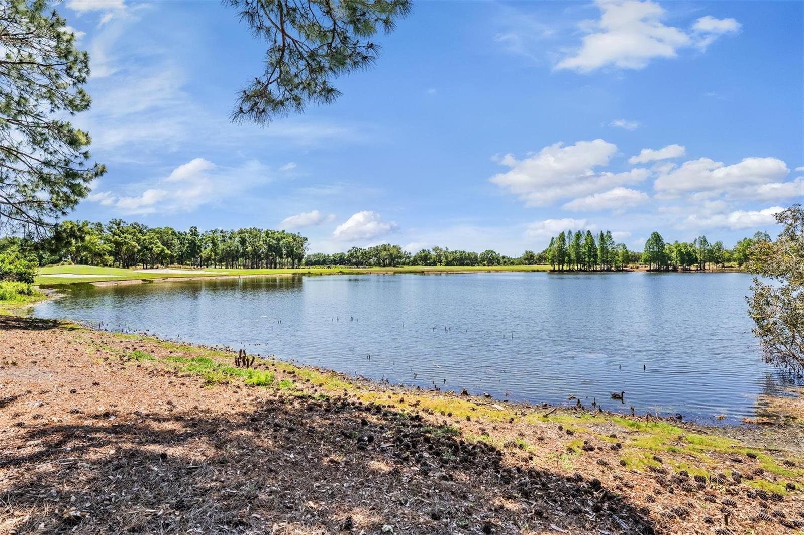 Image 60 of 70 For 9134 Tillinghast Drive