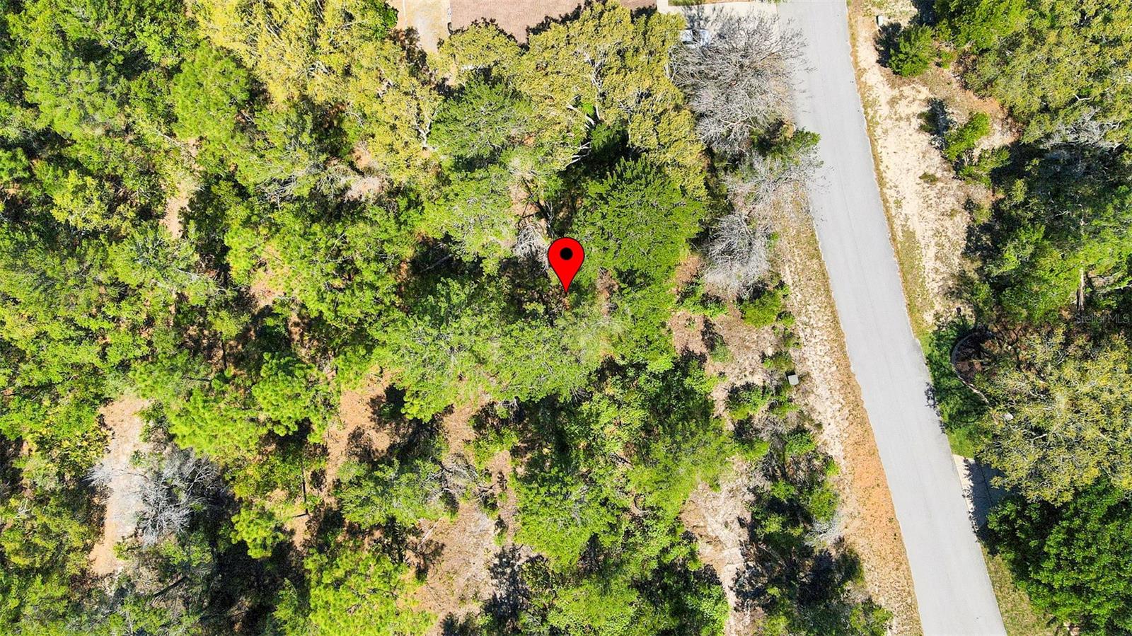 Details for 14 Heuchera Court E, HOMOSASSA, FL 34446