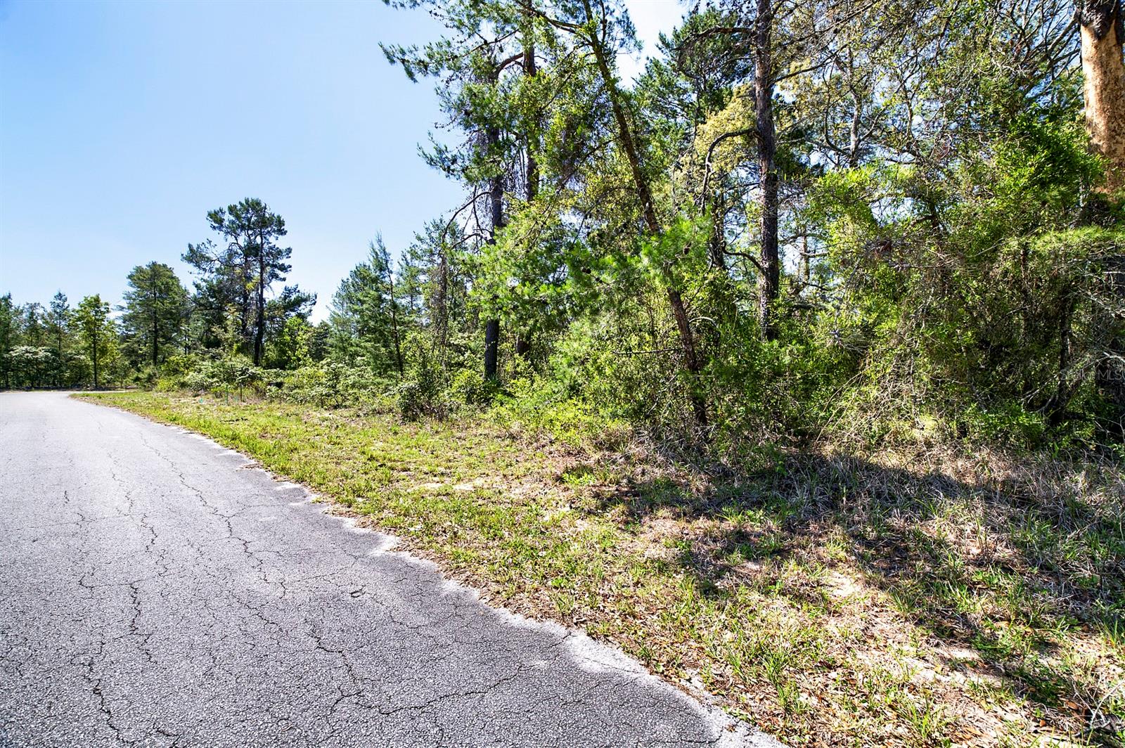 Image 7 of 23 For 14 Heuchera Court E