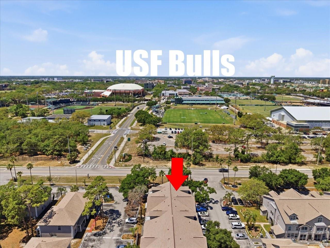 Image 3 of 52 For 5007 Sunridge Palms Drive