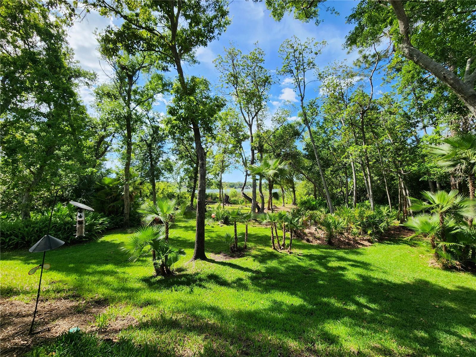 Image 2 of 13 For 3609 Country Pointe Place
