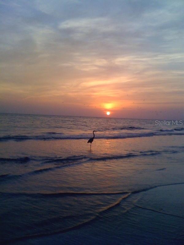 Image 38 of 51 For 19020 Gulf Boulevard 8