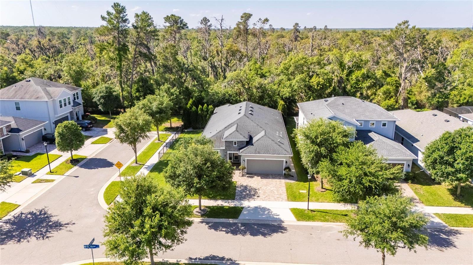 Image 40 of 49 For 14121 Carissa Meadows Court