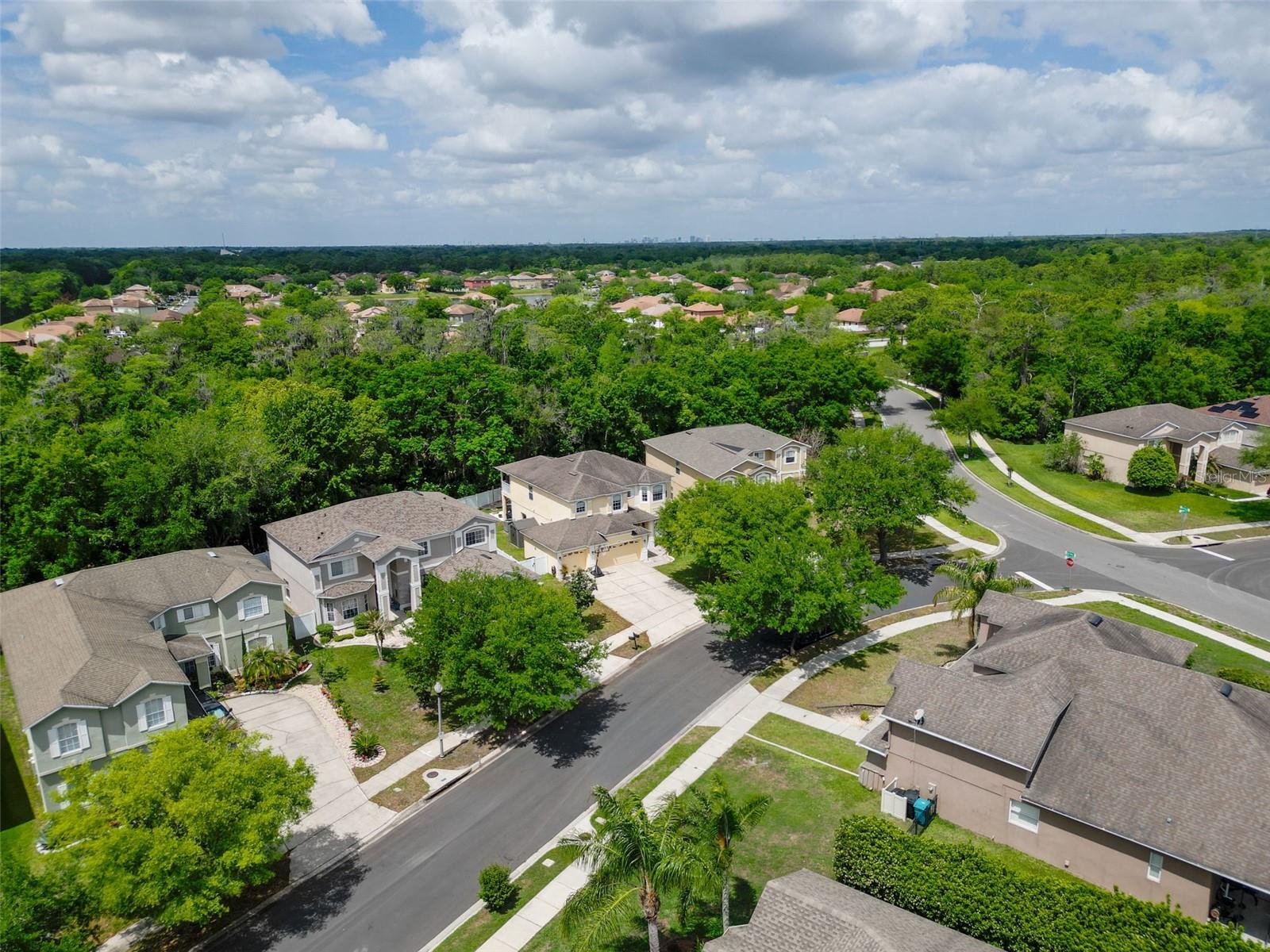 Image 8 of 96 For 4912 Birch Stone Lane