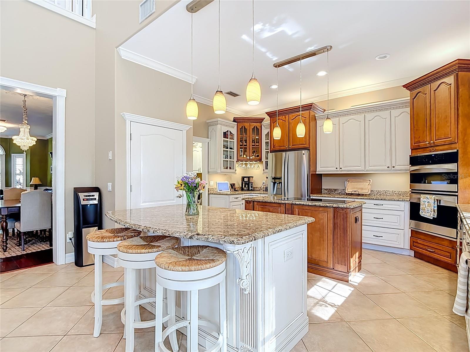 Image 25 of 75 For 2425 Valrico Forest Drive