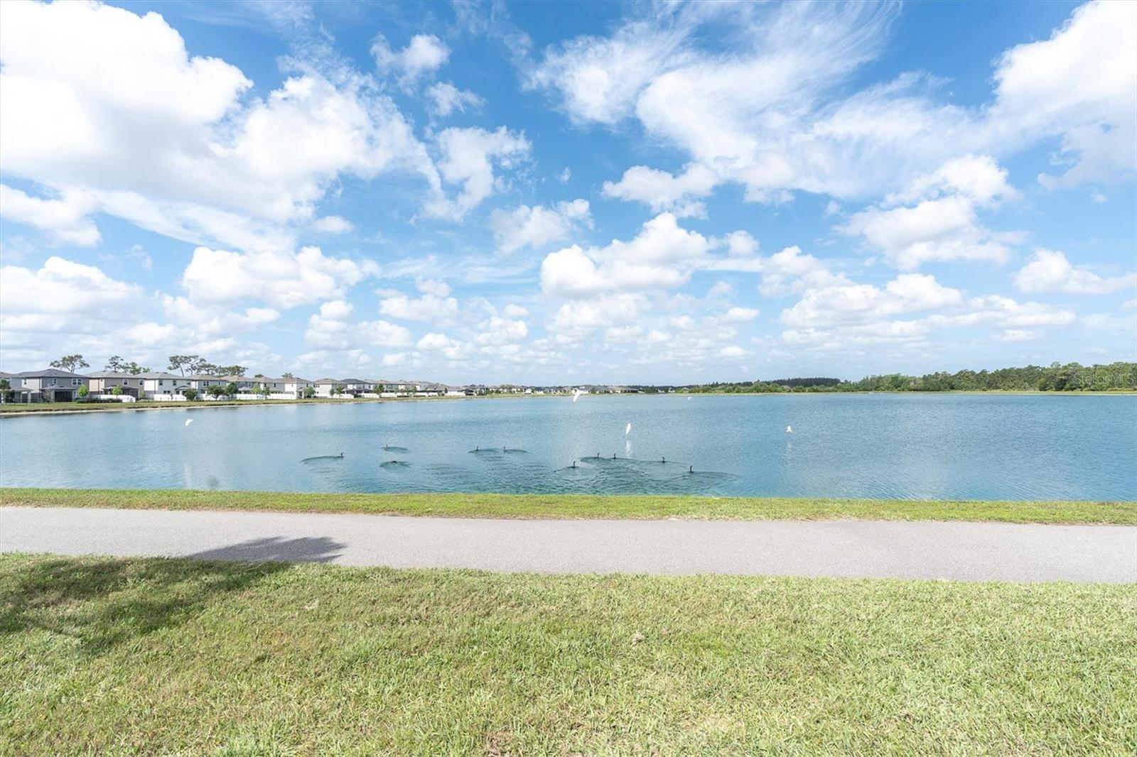 Image 43 of 46 For 6353 Timberdale Avenue