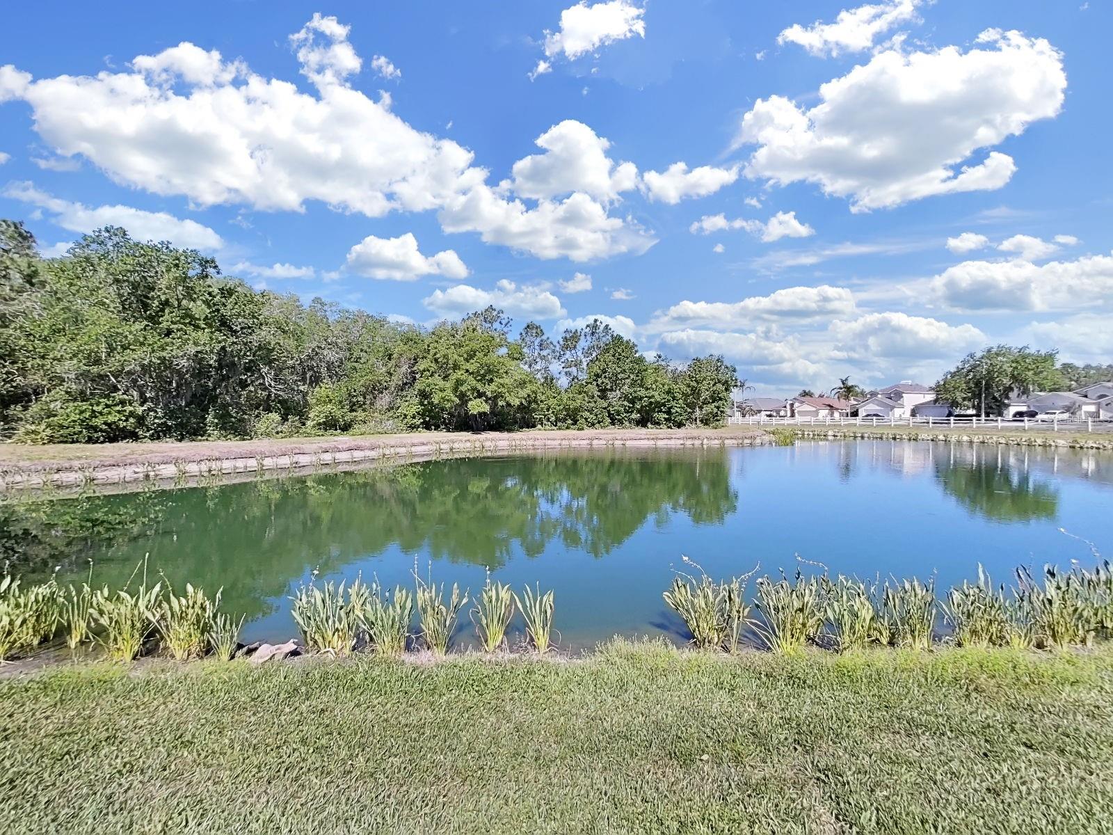 Image 46 of 47 For 30612 Nickerson Loop