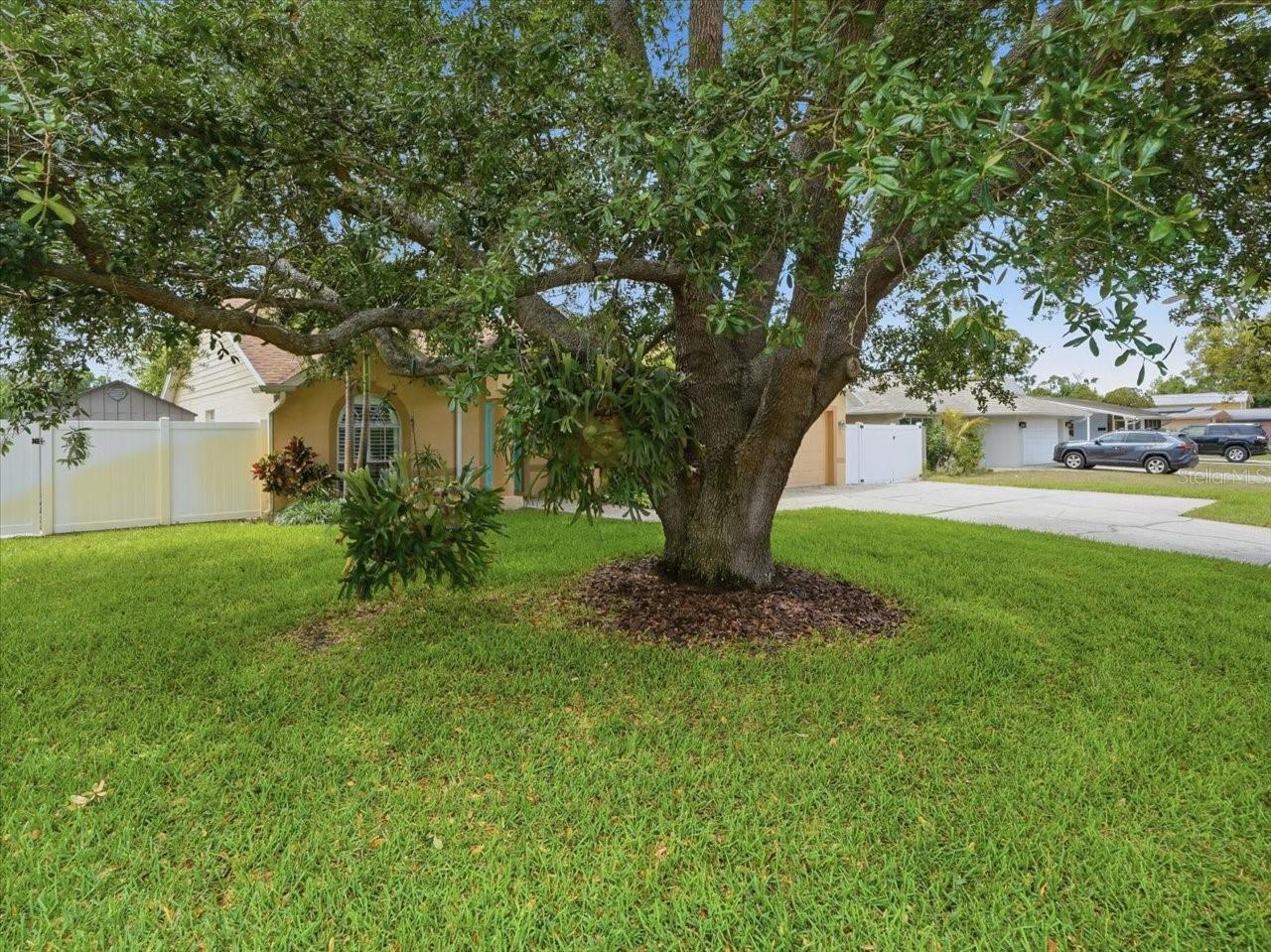 Image 41 of 42 For 2310 39th Avenue N