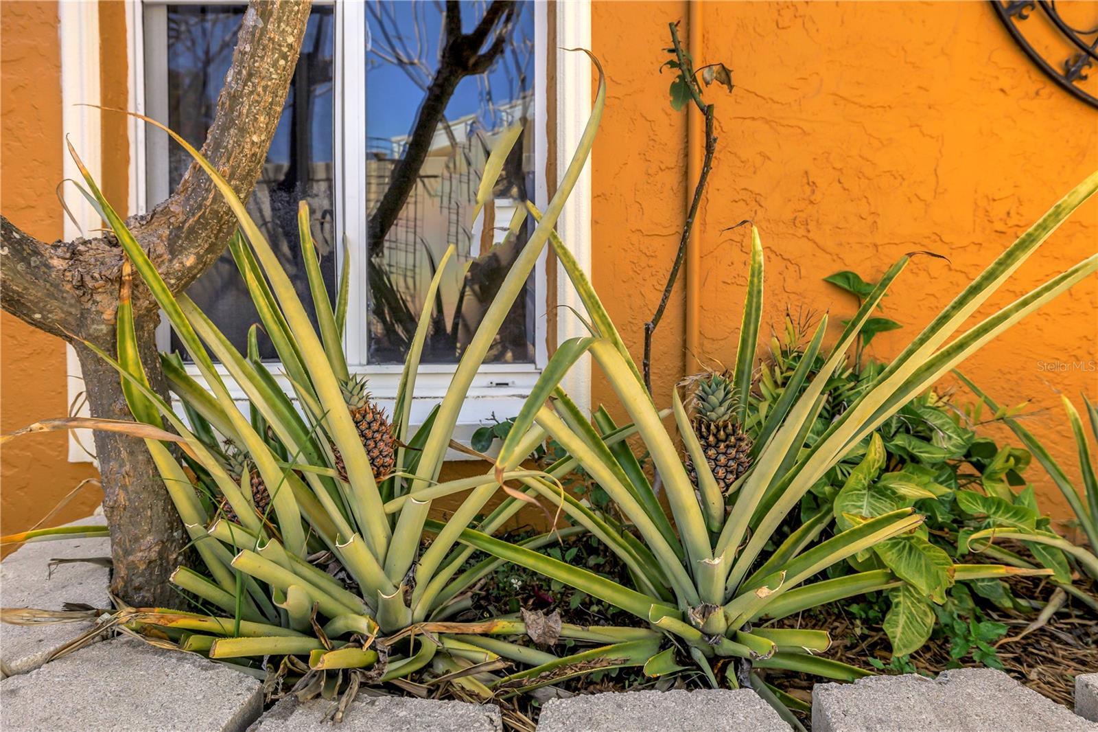 Image 96 of 96 For 3945 Poinsettia Drive