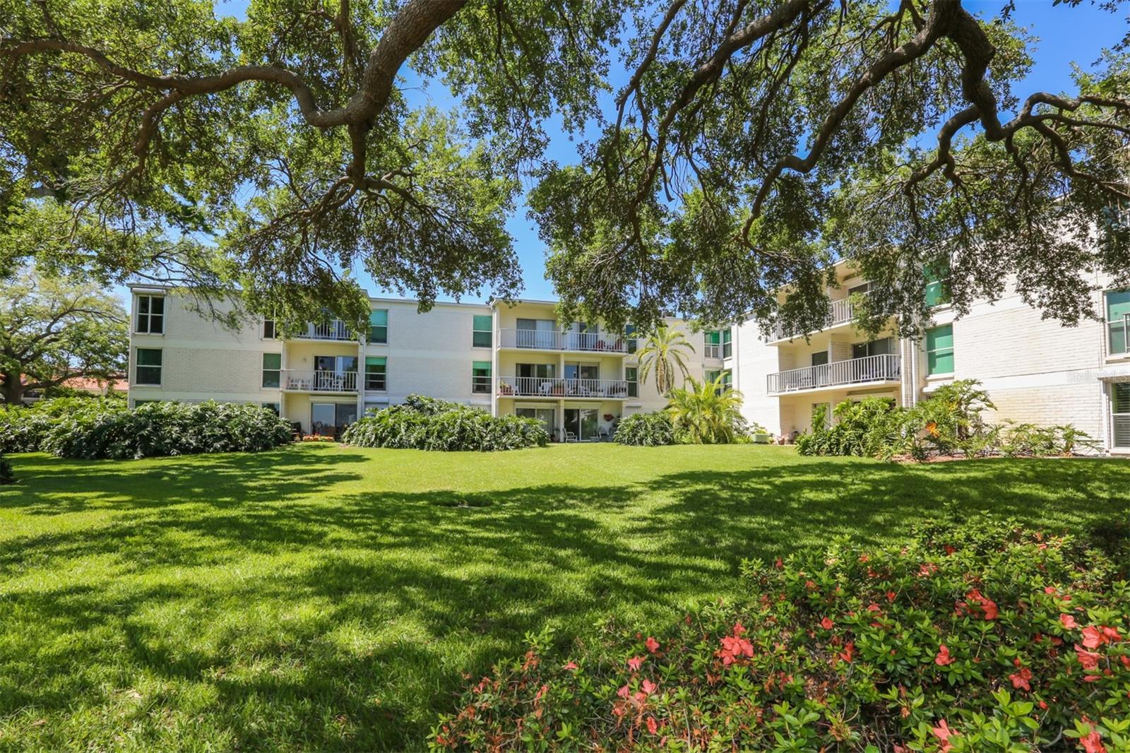 Image 2 of 24 For 3325 Bayshore Boulevard E34