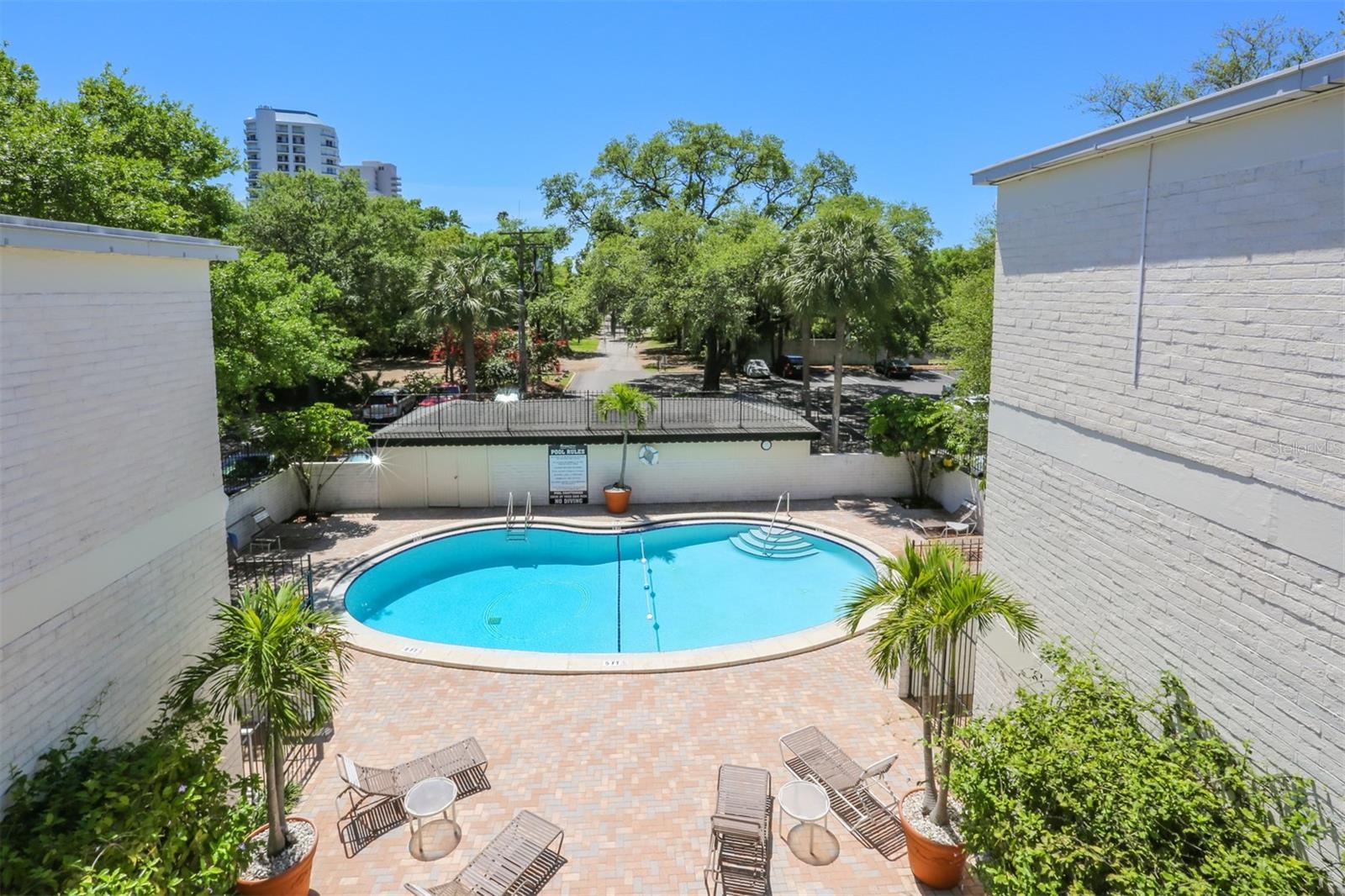 Image 20 of 24 For 3325 Bayshore Boulevard E34