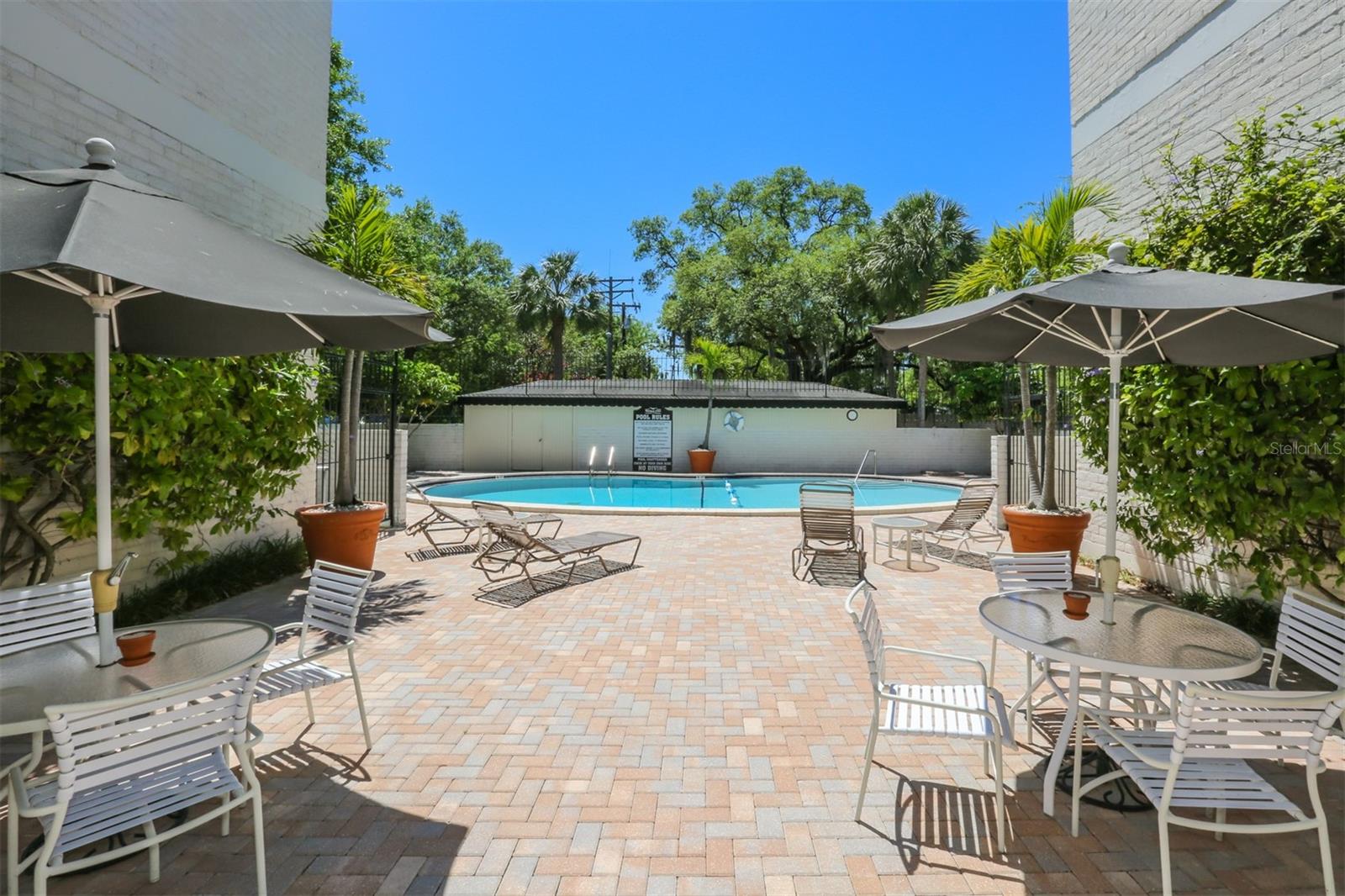 Image 21 of 24 For 3325 Bayshore Boulevard E34