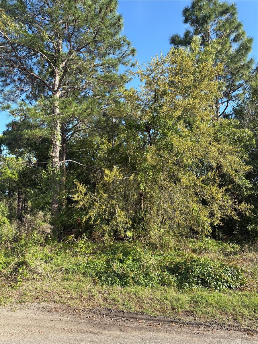 Image 3 of 5 For 21 Sweetbay Court