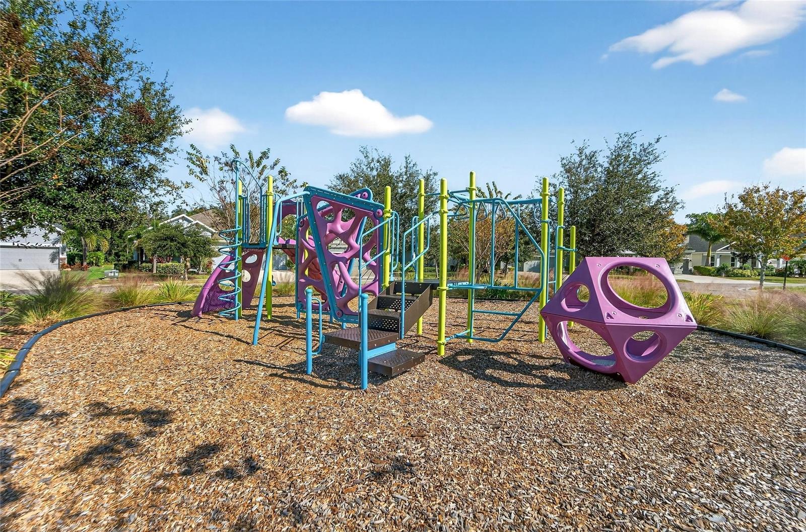 Image 77 of 91 For 5515 Madrigal Way