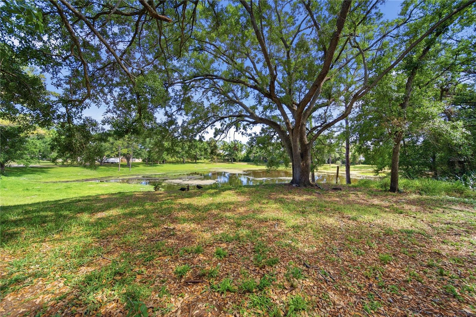 Image 18 of 20 For 9505 Takomah Trail