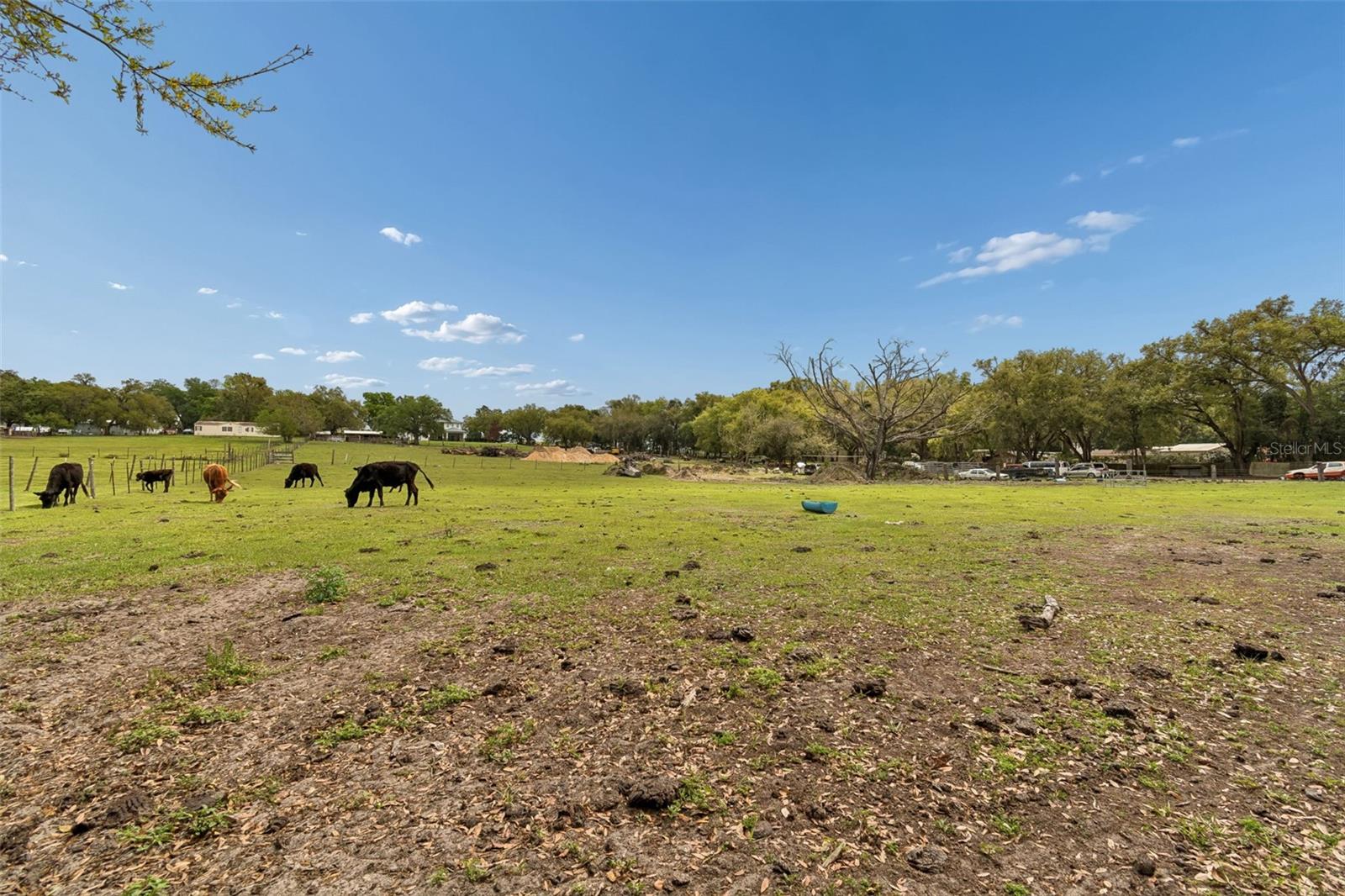 Image 17 of 24 For 8302 Wire Road