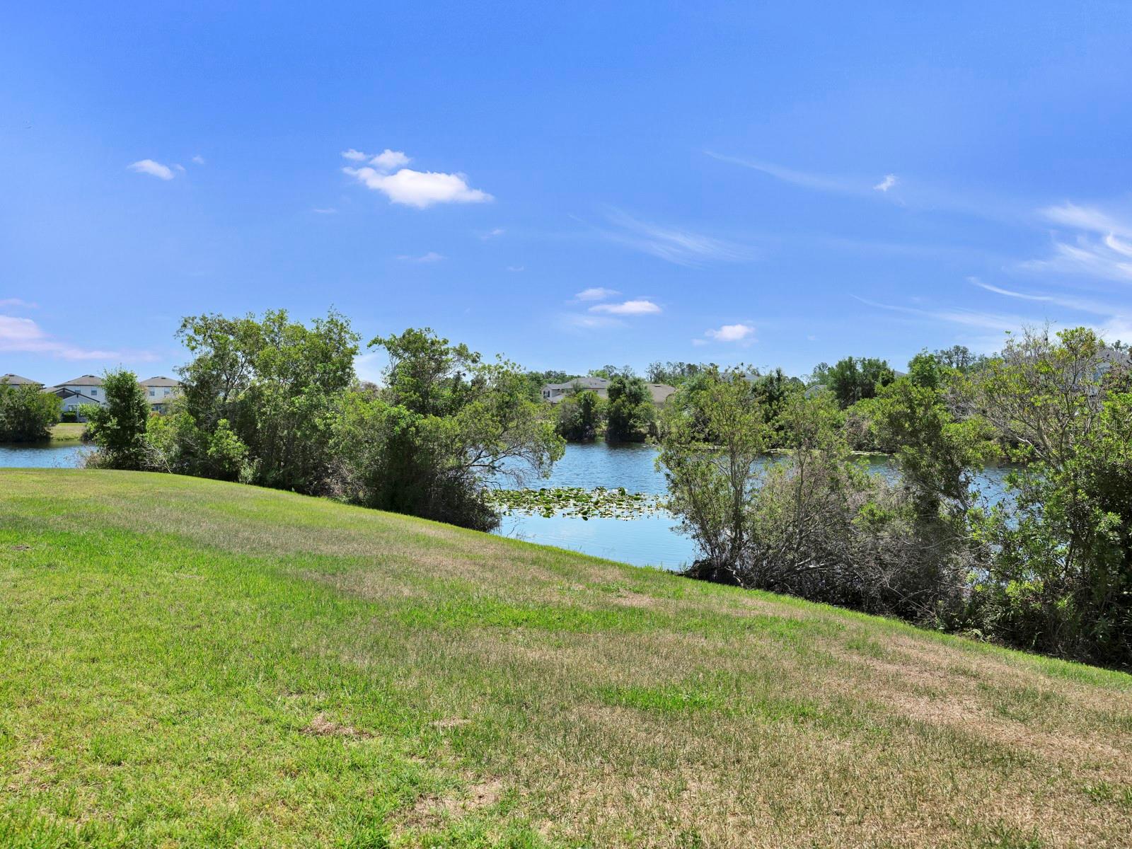 Image 60 of 93 For 12317 Bay Estuary Bend