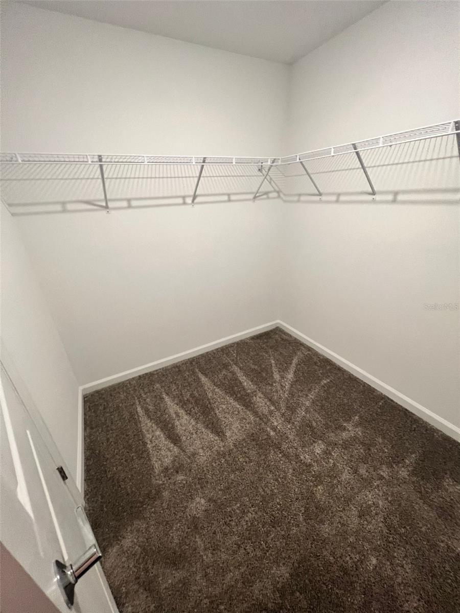 Image 4 of 14 For 34000 Sky Blossom Circle