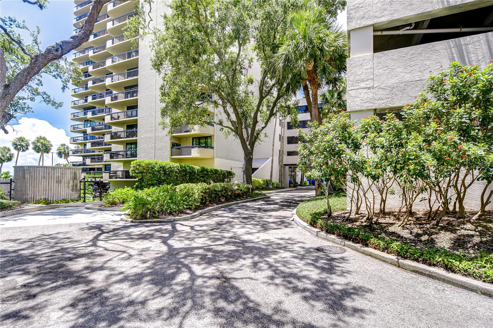 Image 30 of 40 For 2413 Bayshore Boulevard 1003