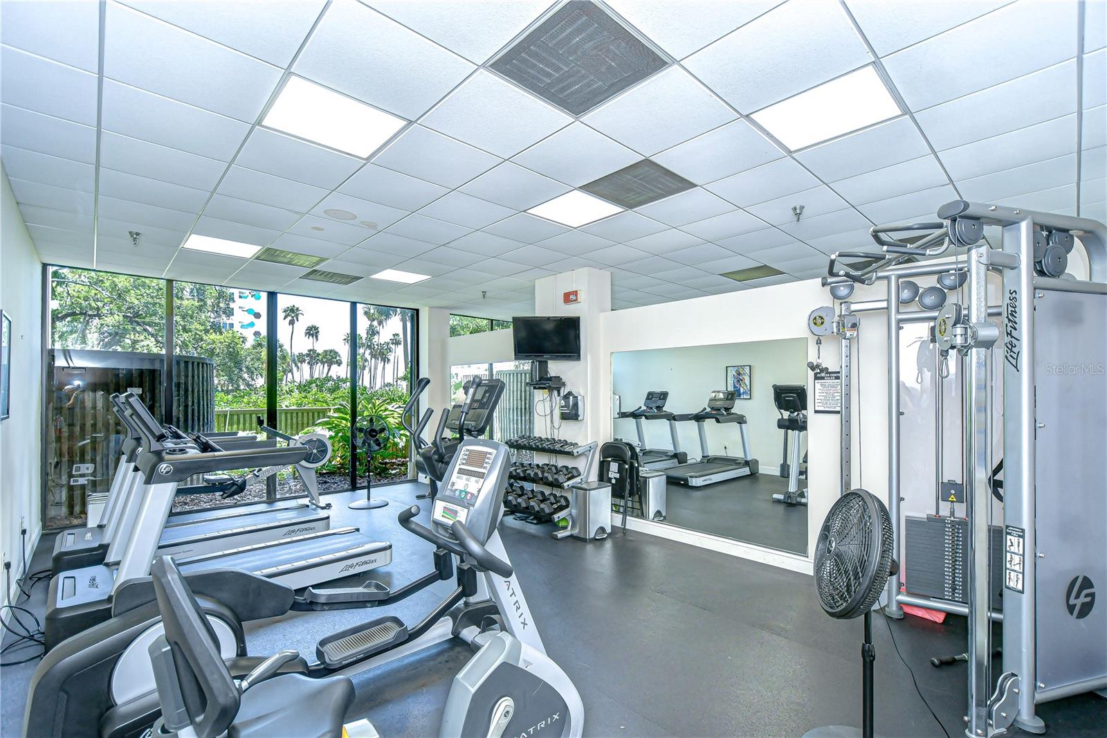 Image 35 of 40 For 2413 Bayshore Boulevard 1003