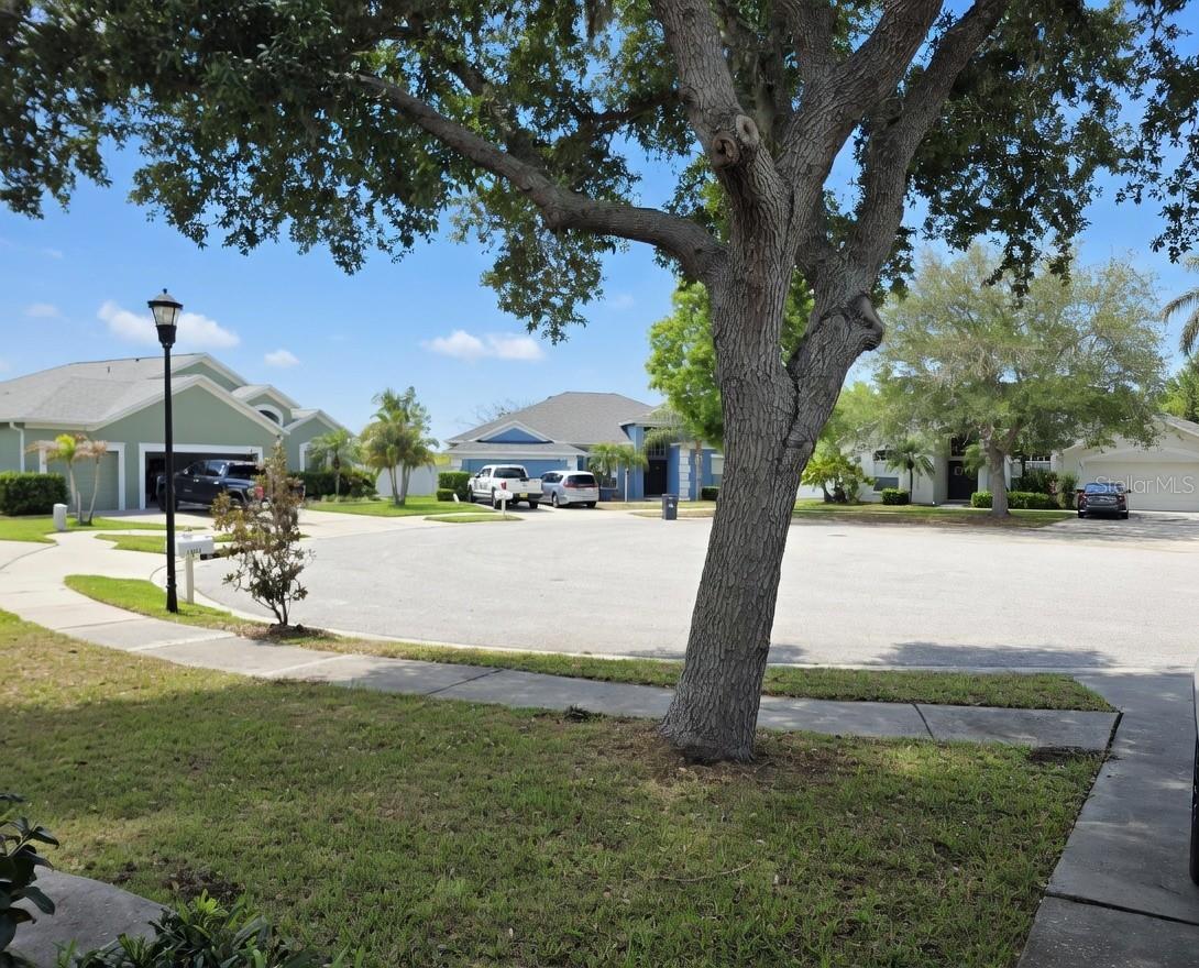 Image 14 of 14 For 10805 Australian Pine Drive