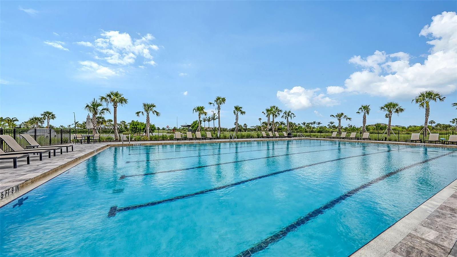 Image 51 of 70 For 8278 Velda Trail