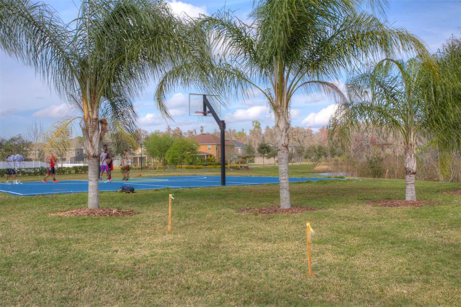 Image 47 of 47 For 19546 Whispering Brook Drive