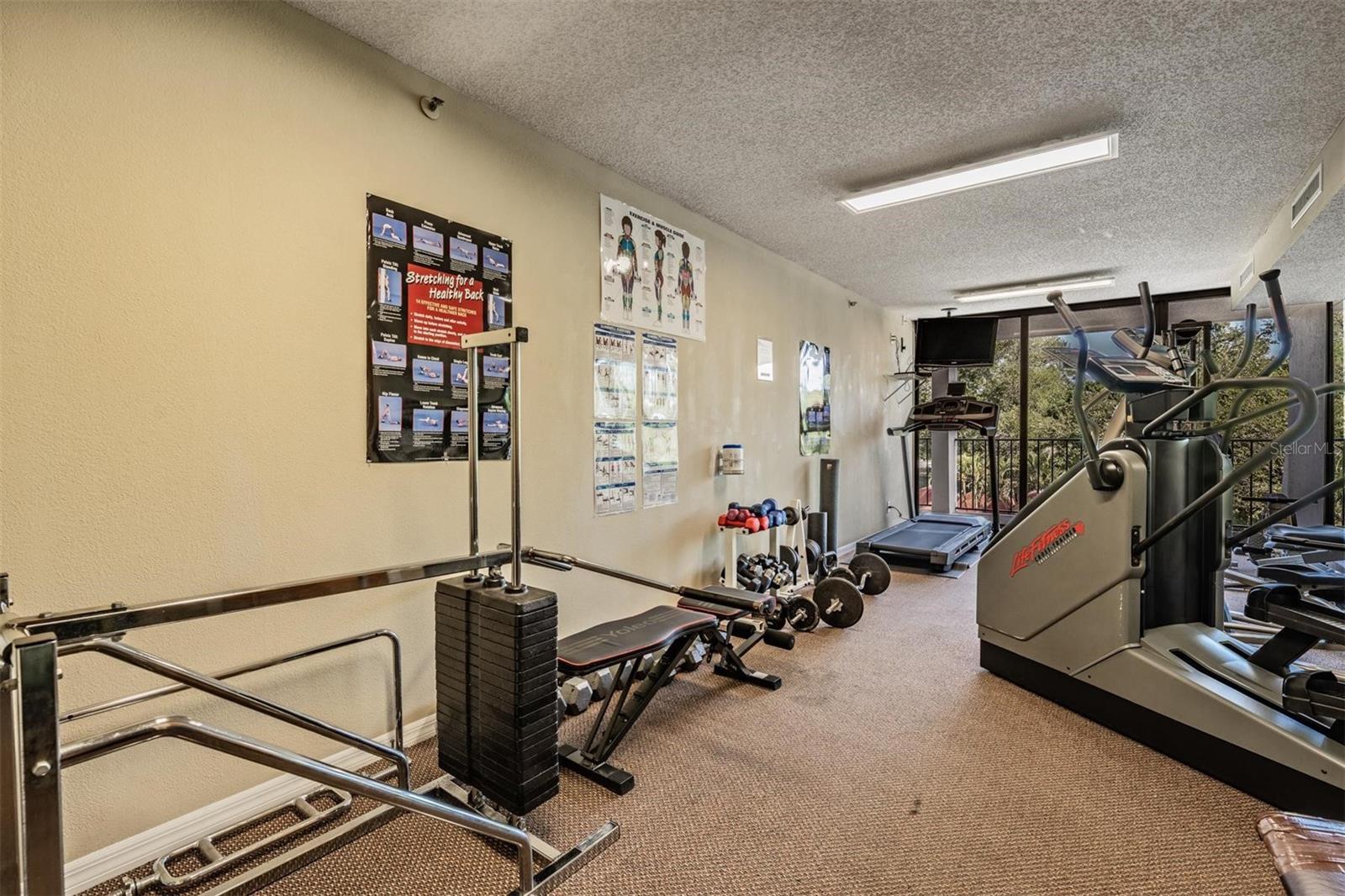 Image 28 of 43 For 3211 Swann Avenue 707