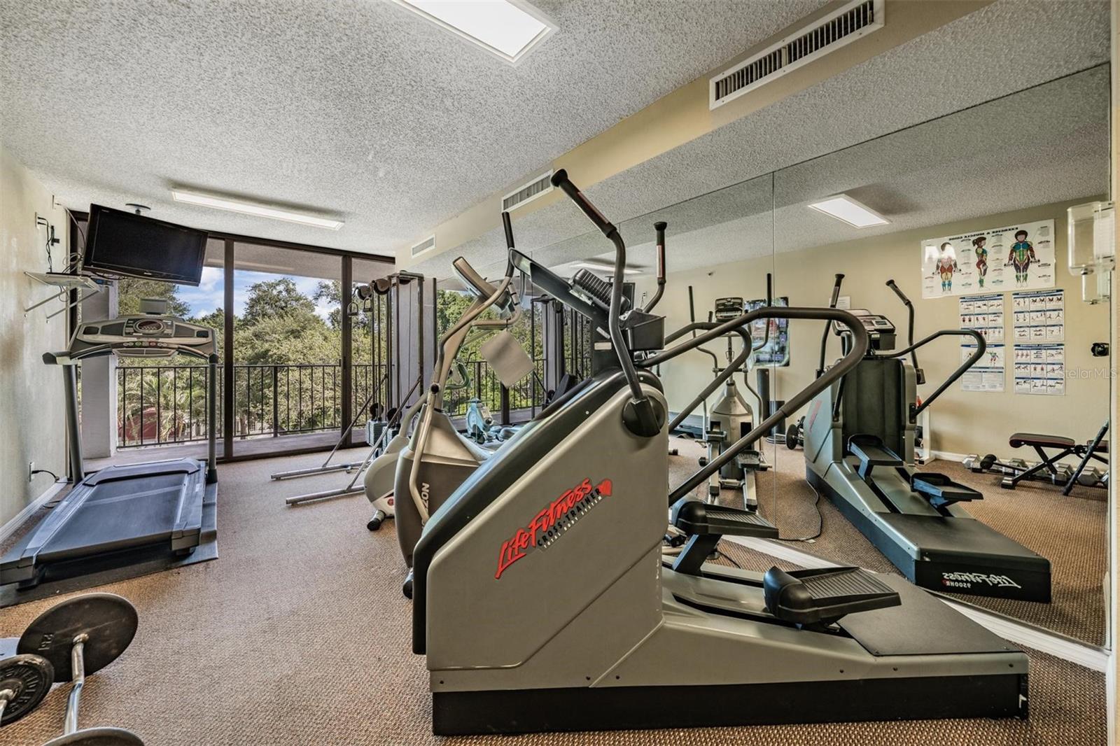 Image 29 of 43 For 3211 Swann Avenue 707