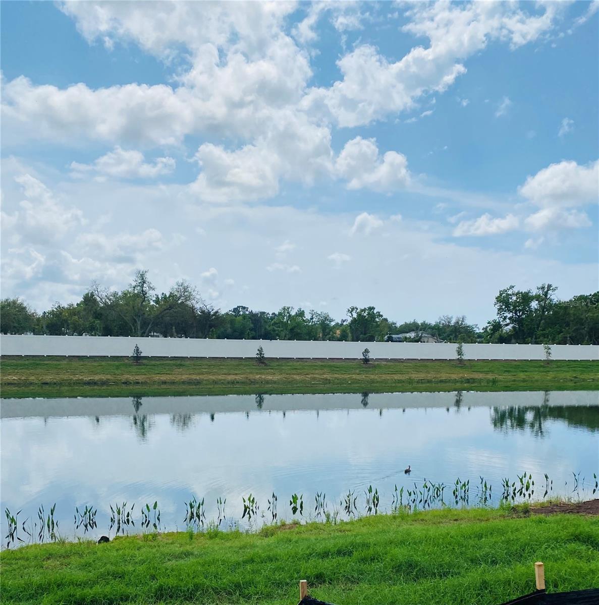 Image 5 of 7 For 7249 Meadowshade Court