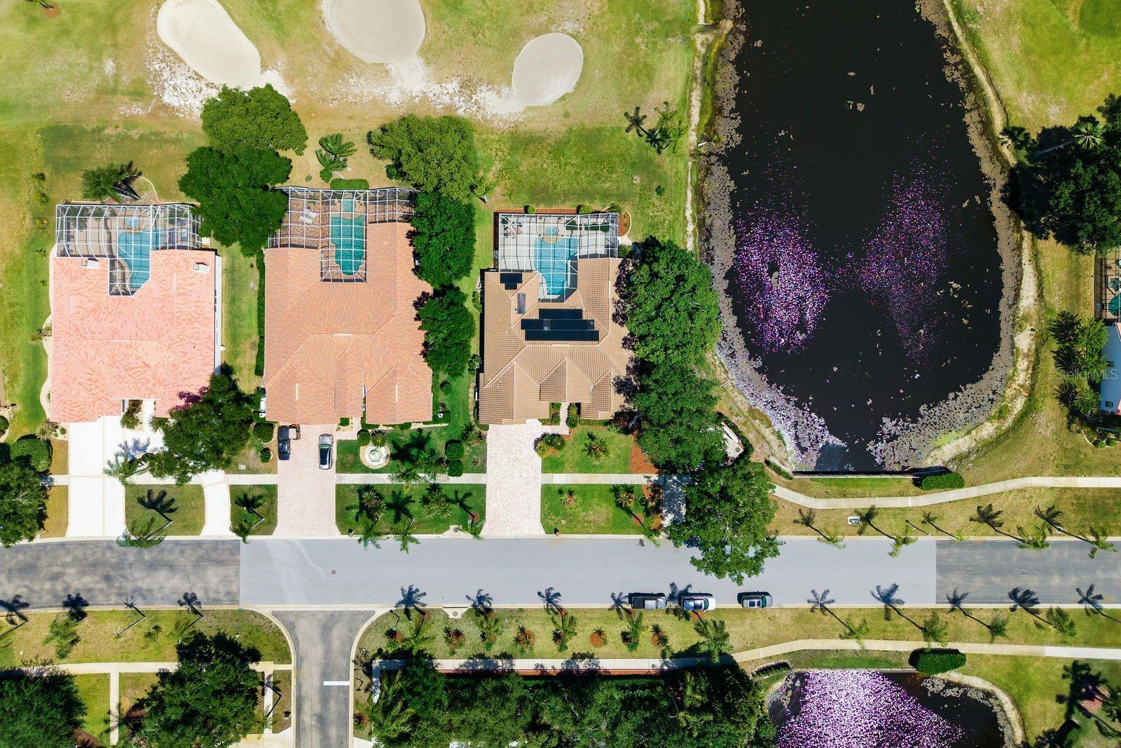 Image 73 of 79 For 3343 Crescent Oaks Boulevard